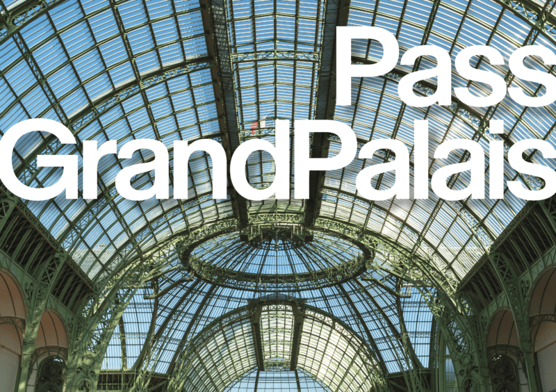 Verrière de la Nef du Grand Palais, 2025 Verrière de la Nef du Grand Palais, 2025
